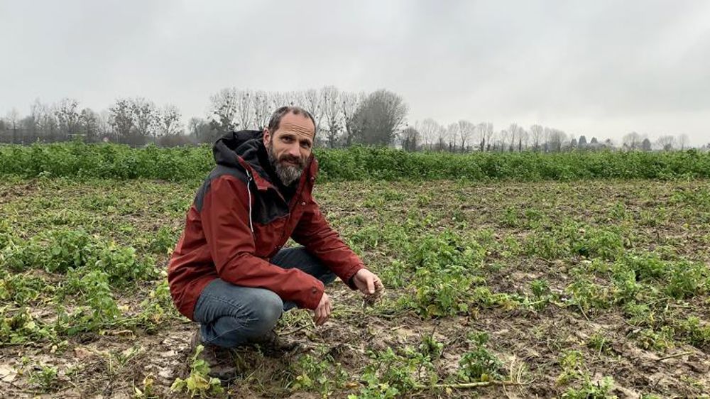 Se passer du  glyphosate dès 2021