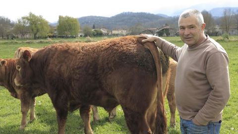 Des bovins mâles et femelles bien valorisés en reproducteurs Des bovins mâles et femelles bien valorisés en reproducteurs