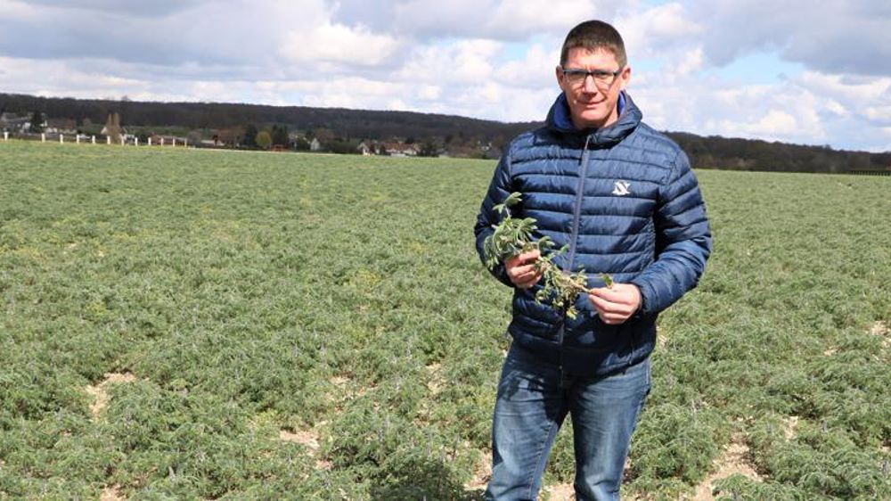 Du soja et du lupin pour diversifier la rotation 