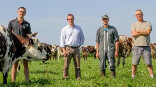 Trouver la bonne valorisation pour les vaches de réforme Trouver la bonne valorisation pour les vaches de réforme
