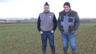 Cultiver une vieille variété de blé sous contrat Cultiver une vieille variété de blé sous contrat