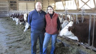 Tout miser sur le lait avec des vaches et des brebis Tout miser sur le lait avec des vaches et des brebis