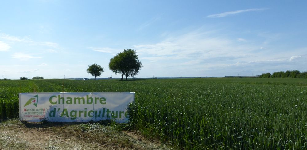 La taxe pour frais chambres d'agriculture finance en partie le réseau consulaire.