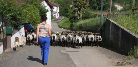 Le parcellaire coupé de la bergerie oblige Nadia à faire des va-et-vient à travers le village. © Hélène Quenin