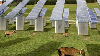 Le gouvernement prépare une doctrine sur l’agrivoltaïsme Le gouvernement prépare une doctrine sur l’agrivoltaïsme