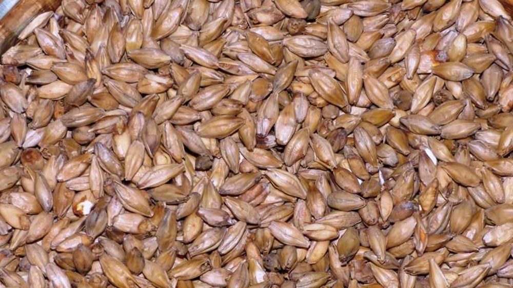 Tereos cède à Axéréal ses activités dans le malt