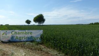 Comment les chambres d’agriculture veulent peser en 2022 Comment les chambres d’agriculture veulent peser en 2022