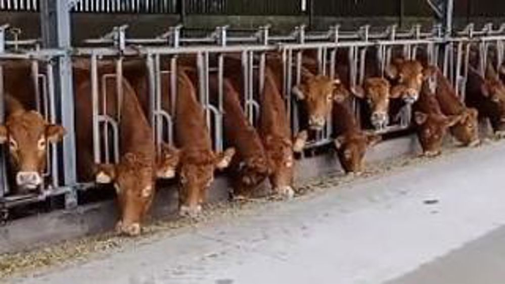 Élevage et fertilisation