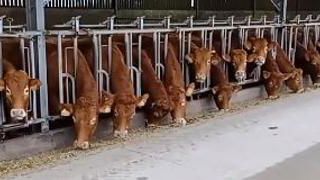 Élevage et fertilisation Élevage et fertilisation