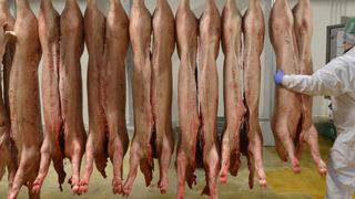 Le prix du porc a remonté légèrement en décembre Le prix du porc a remonté légèrement en décembre