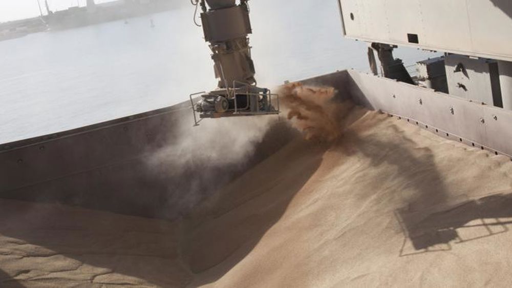 Montée modérée des prix du blé malgré la chute de l’euro