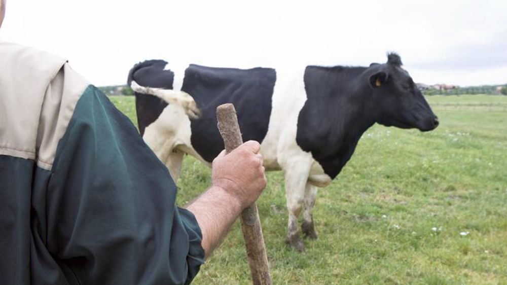 Un ancien de la MSA à la tête du plan Prévention suicide