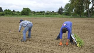 La Fnab rajoute des critères sociaux à son label La Fnab rajoute des critères sociaux à son label