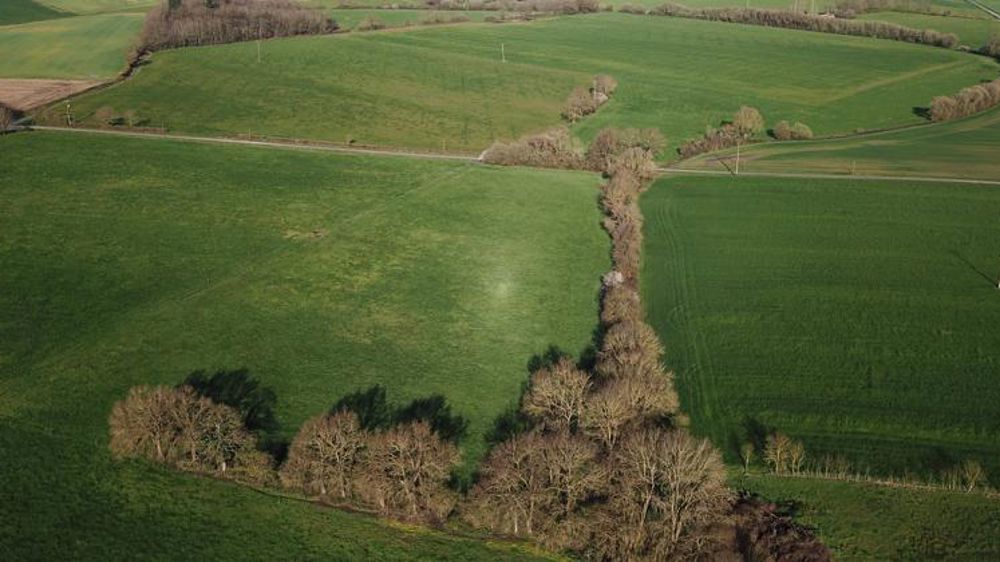 La France est le leader européen de la production biologique