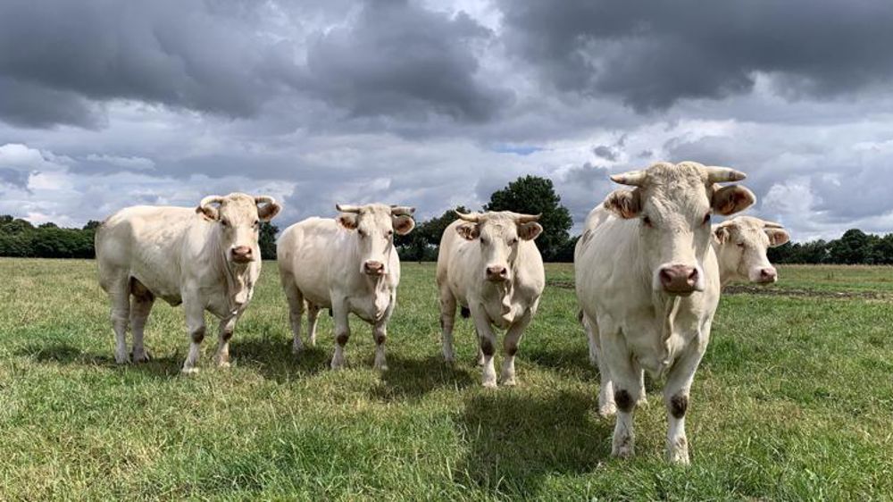 Concilier développement du bio et gestion de l’azote