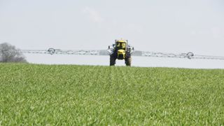 Des ONG veulent en finir avec les pesticides de synthèse Des ONG veulent en finir avec les pesticides de synthèse