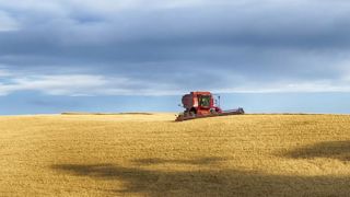 Nouveau record de prix pour le blé américain Nouveau record de prix pour le blé américain