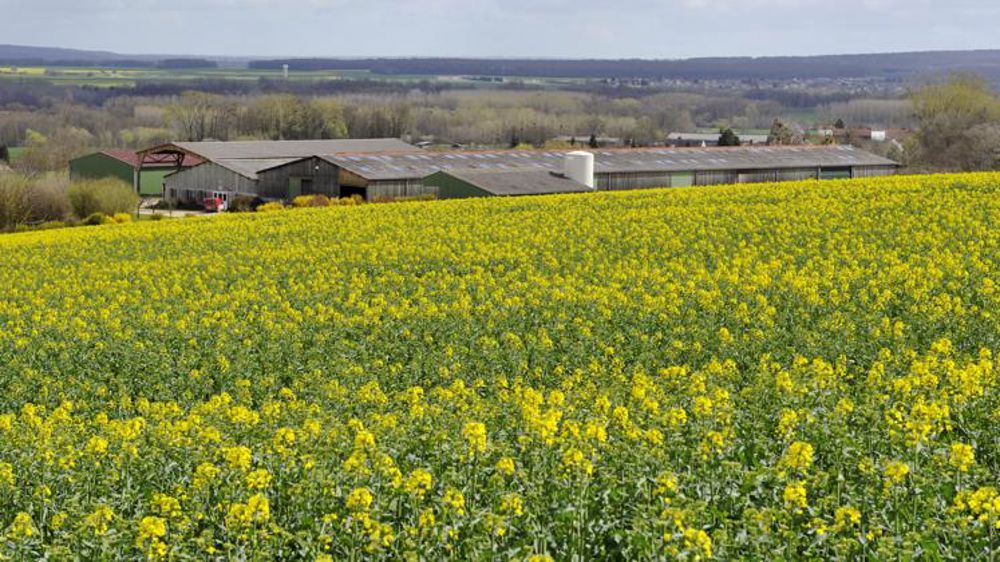 Mieux anticiper les impasses phytosanitaires