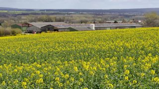 Mieux anticiper les impasses phytosanitaires Mieux anticiper les impasses phytosanitaires
