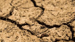 Le printemps serait plus chaud et sec que la normale Le printemps serait plus chaud et sec que la normale