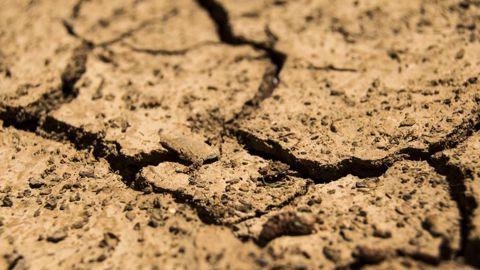 Le printemps serait plus chaud et sec que la normale Le printemps serait plus chaud et sec que la normale