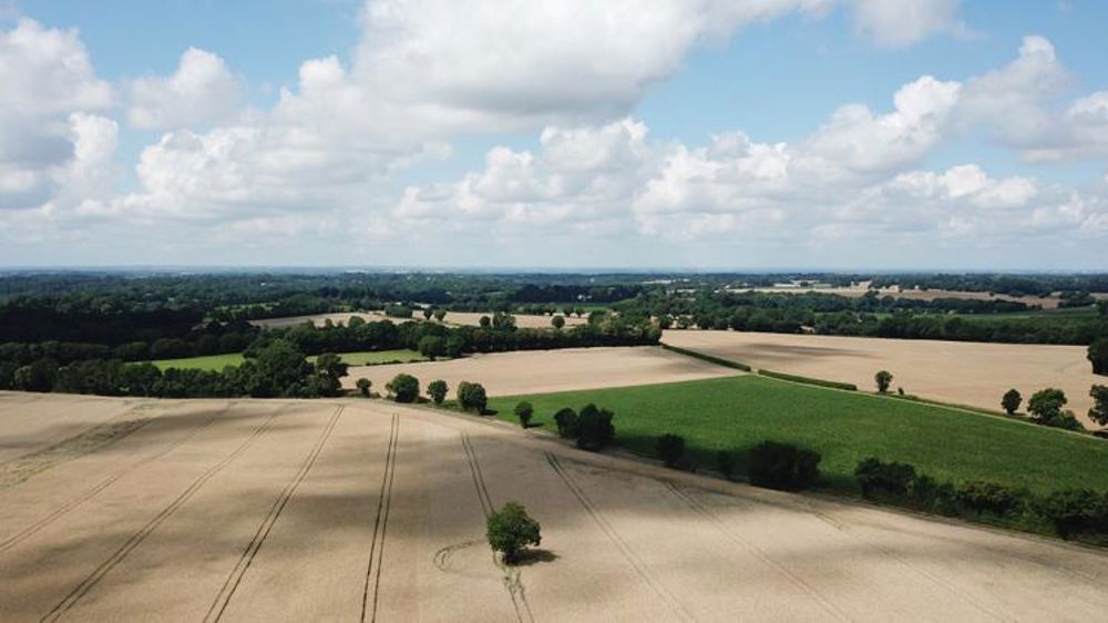 La profession est divisée sur les mesures actées à Bruxelles
