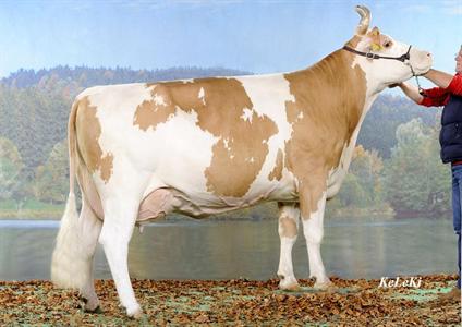 KELLY (GRANAT BB x BOBI) à Monnat Claude-François & Heidi, 2300 La Chaux-de-Fonds