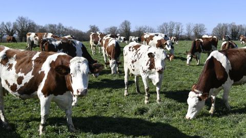 De l’optimisme sur le renouvellement des générations de producteurs laitiers