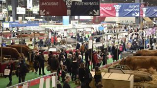 Les organisations professionnelles veulent passer les candidats au grill Les organisations professionnelles veulent passer les candidats au grill