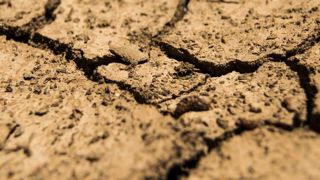 22 communes de 13 départements reconnues 22 communes de 13 départements reconnues