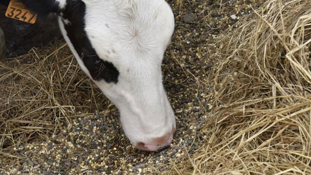 Les coûts de production du lait attendus en forte hausse en 2022