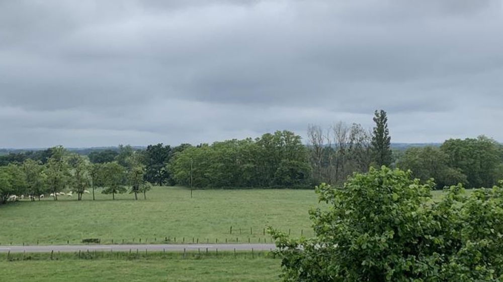 Les gelées laissent place à la pluie en cette fin de semaine