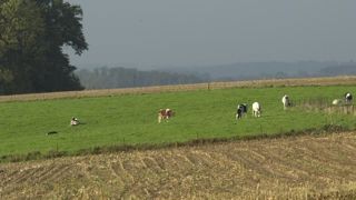 Les leviers de l’agriculture pour lutter contre le changement climatique Les leviers de l’agriculture pour lutter contre le changement climatique