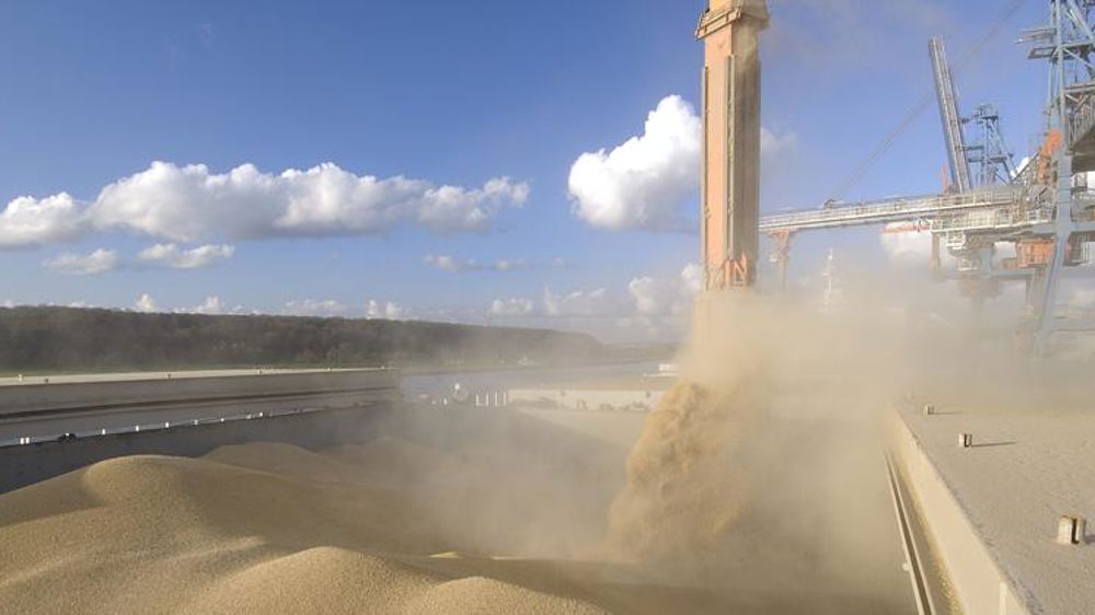 Les prix du blé et du colza 2022 en forte hausse