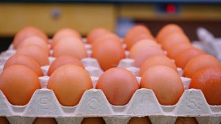 Le CNPO veut revaloriser le prix des ovoproduits Le CNPO veut revaloriser le prix des ovoproduits