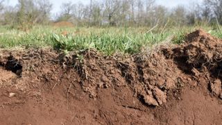 Le secteur aérien, un acheteur potentiel de crédits carbone agricoles Le secteur aérien, un acheteur potentiel de crédits carbone agricoles