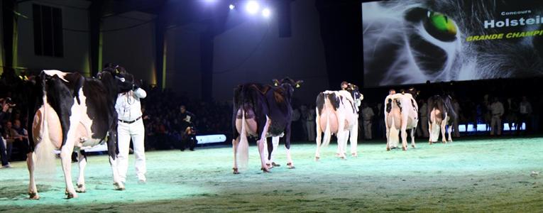 Les cinq vaches