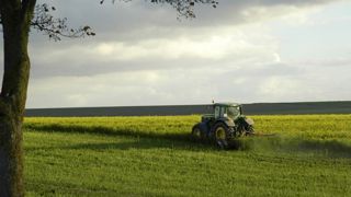 Les chasseurs plaident pour le maintien des jachères Les chasseurs plaident pour le maintien des jachères