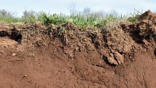 Comment renforcer la crédibilité des crédits carbone Comment renforcer la crédibilité des crédits carbone