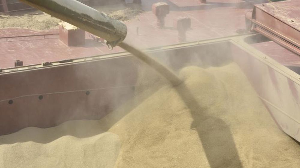 Le blé français est compétitif, mais la demande peu dynamique