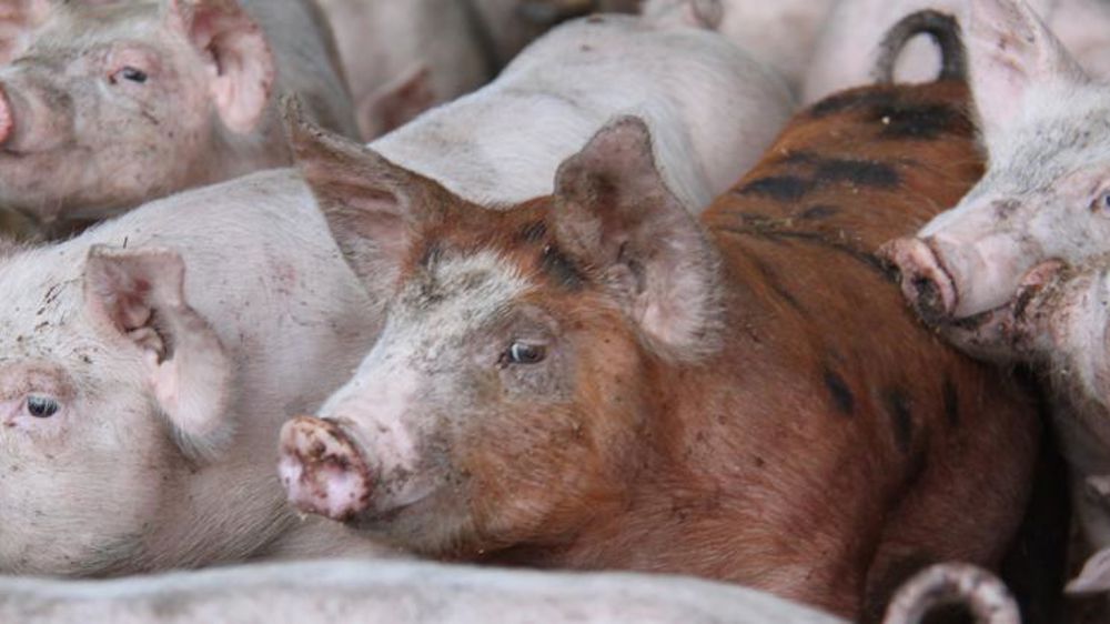 Déposez votre demande d’exonération de cotisation de MSA