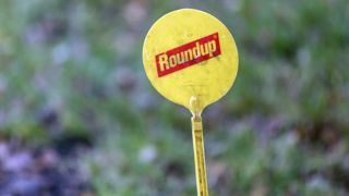 La Cour suprême condamne définitivement Monsanto La Cour suprême condamne définitivement Monsanto