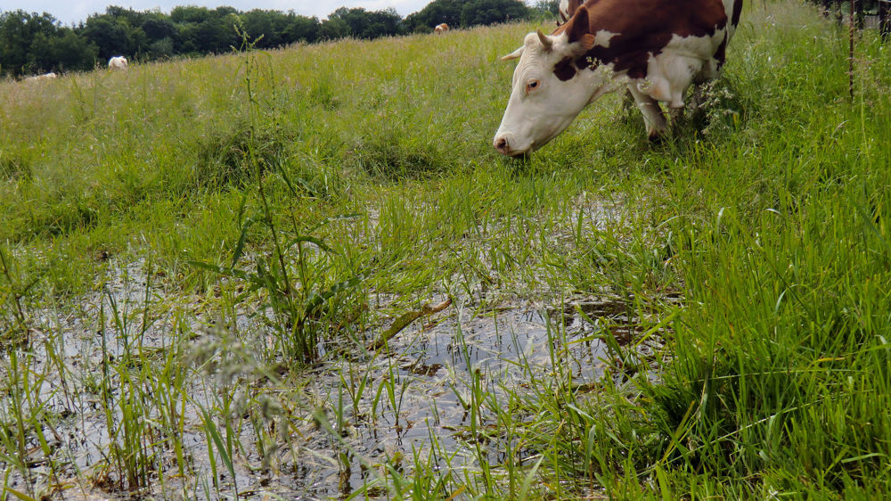 Les taux de subvention de l’assurance récolte reconduits en 2022