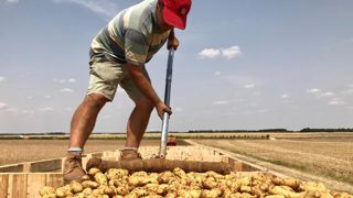 Des agriculteurs surexposés au cancer de la peau Des agriculteurs surexposés au cancer de la peau