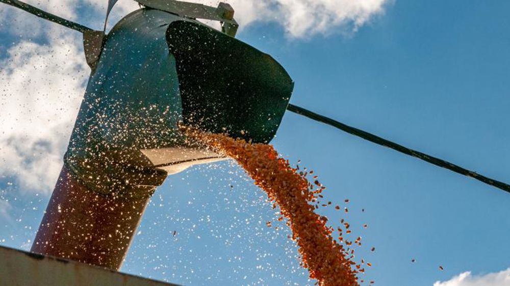 La production mondiale de céréales revue à la hausse