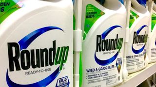 La Cour suprême rejette une nouvelle requête de Monsanto La Cour suprême rejette une nouvelle requête de Monsanto