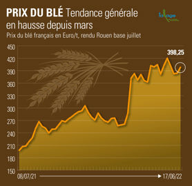 Évolution du prix du blé rendu Rouen, base juillet.