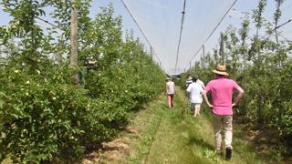 Le « local bio » résiste Le « local bio » résiste