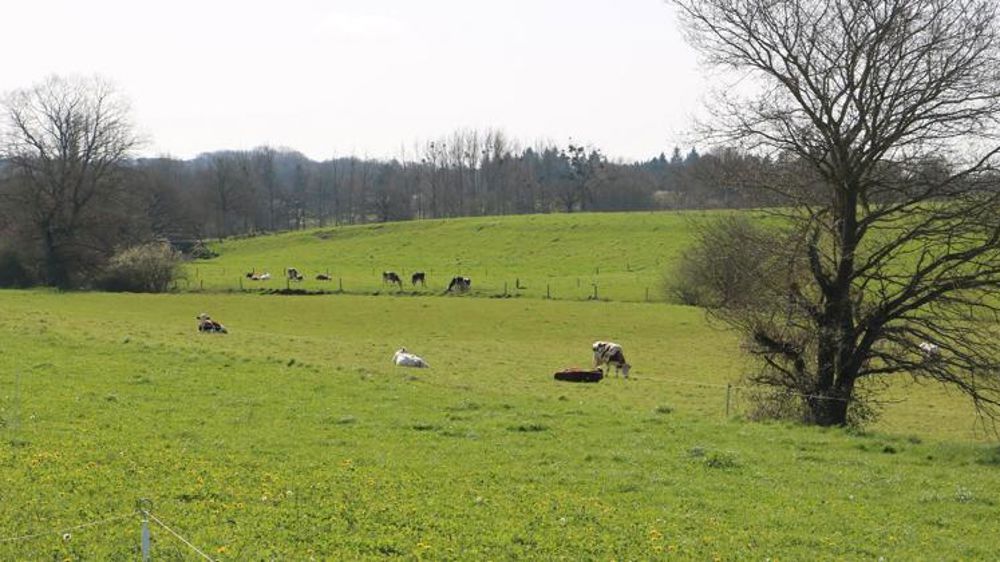 Les Bretons ont une vision positive de l’agriculture