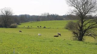 Les Bretons ont une vision positive de l’agriculture Les Bretons ont une vision positive de l’agriculture